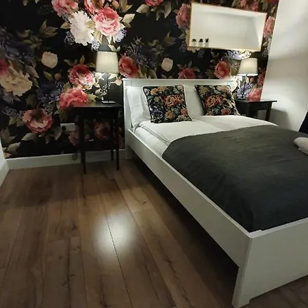 Pasta Factory Guest Голуэй